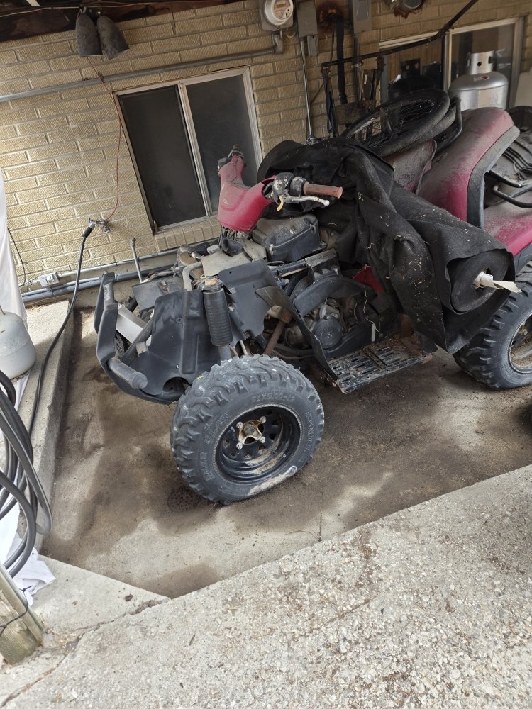 After cleaning – Garage Clean Up